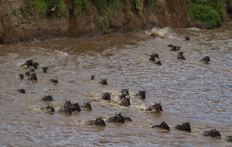 luxury Tanzania safaris